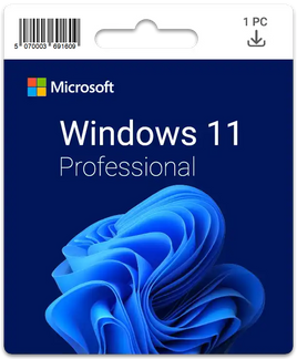 Windows 11 Pro