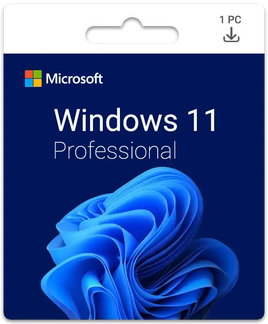 windows 11